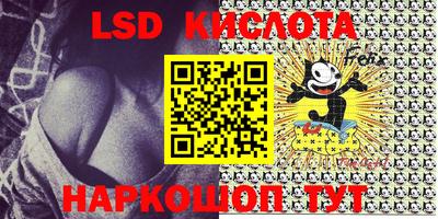 индика Лесосибирск