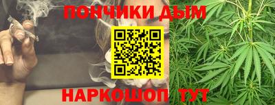 индика Лесосибирск